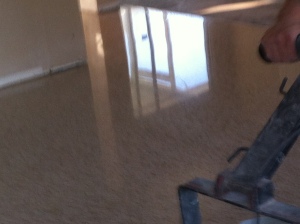 Polished Terrazzo After